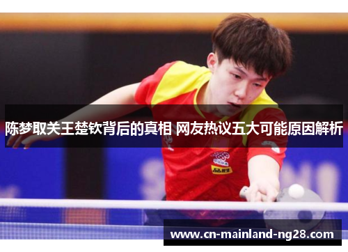 陈梦取关王楚钦背后的真相 网友热议五大可能原因解析
