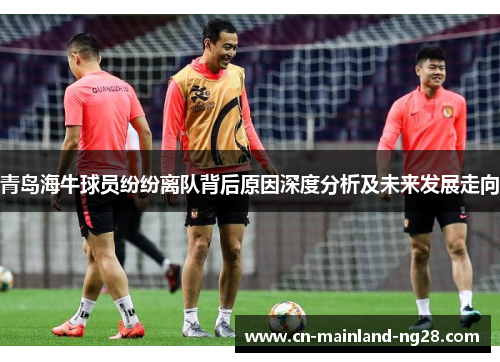 青岛海牛球员纷纷离队背后原因深度分析及未来发展走向 青岛海牛球员纷纷离队背后原因深度分析及未来发展走向