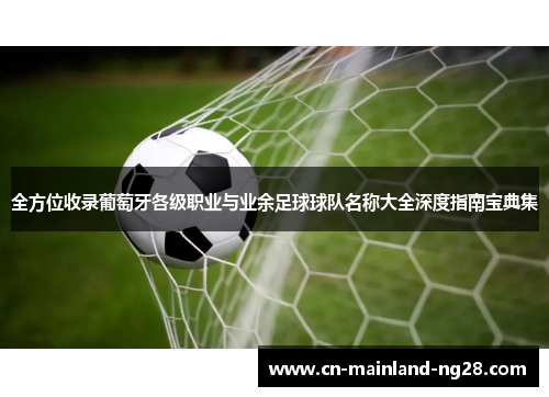 全方位收录葡萄牙各级职业与业余足球球队名称大全深度指南宝典集