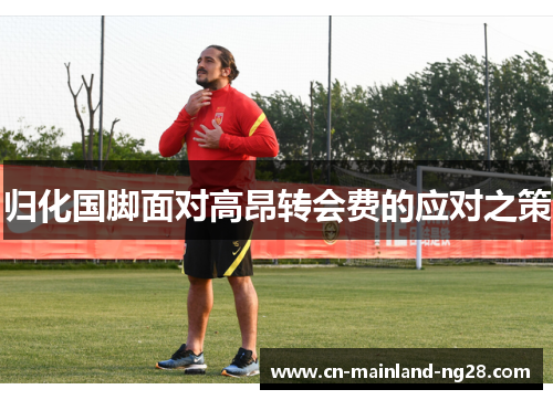 归化国脚面对高昂转会费的应对之策