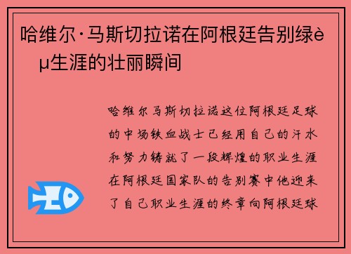 哈维尔·马斯切拉诺在阿根廷告别绿茵生涯的壮丽瞬间