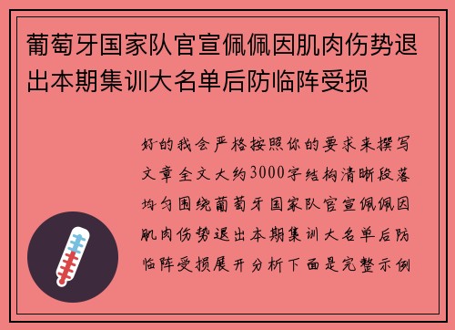 葡萄牙国家队官宣佩佩因肌肉伤势退出本期集训大名单后防临阵受损